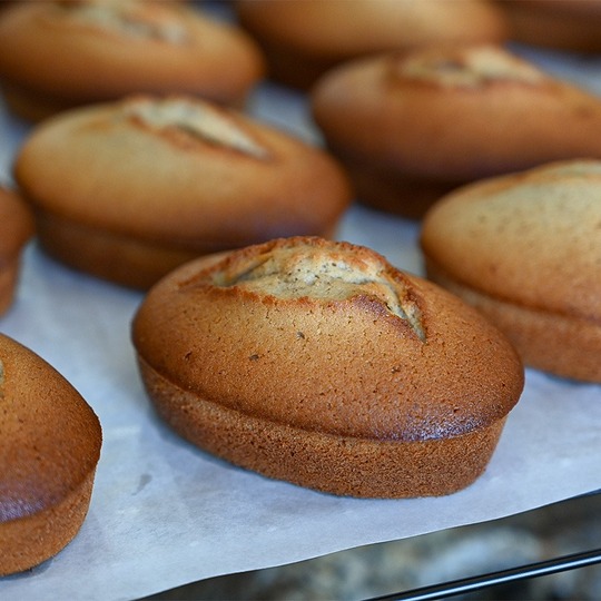 imgi_48_financier-baked02
