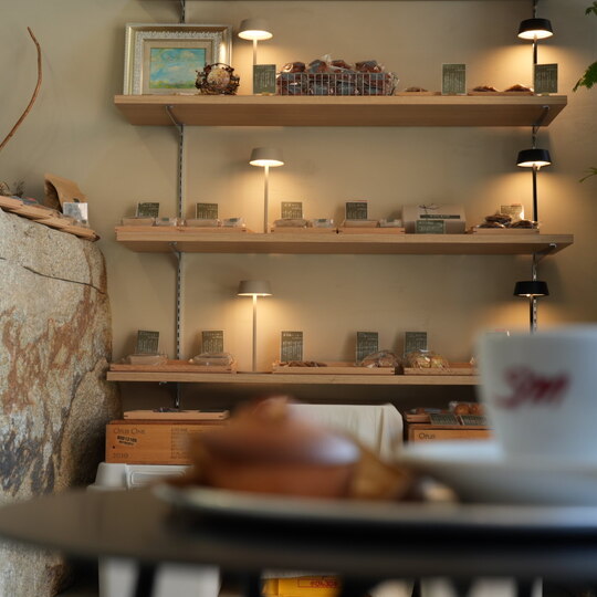 DSC00848_1 (1)